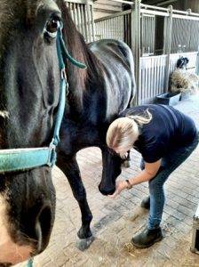 Andrea Sauerländer hat gute Erfahrungen in der Pferdetherapie